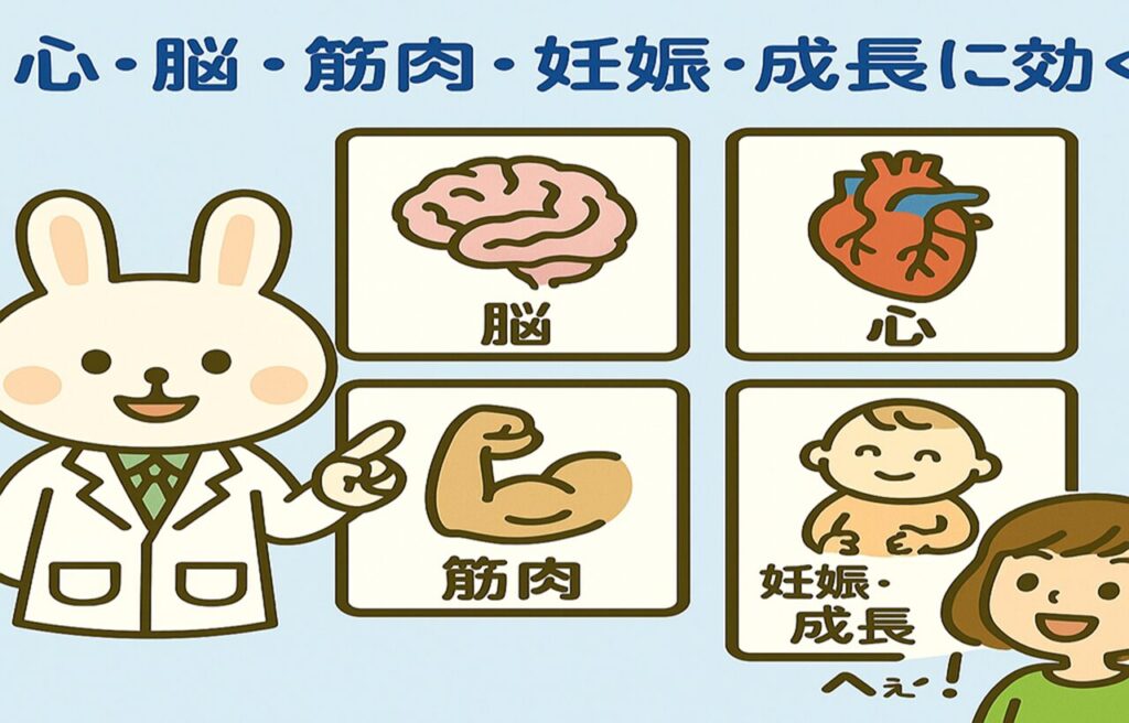 オメガ3はどこに効く？というテーマで、薬剤師みどりんが脳・心臓・筋肉・腸・妊婦マークを指しながら説明しているイラスト。すずちゃんは感心した表情でうなずいている。